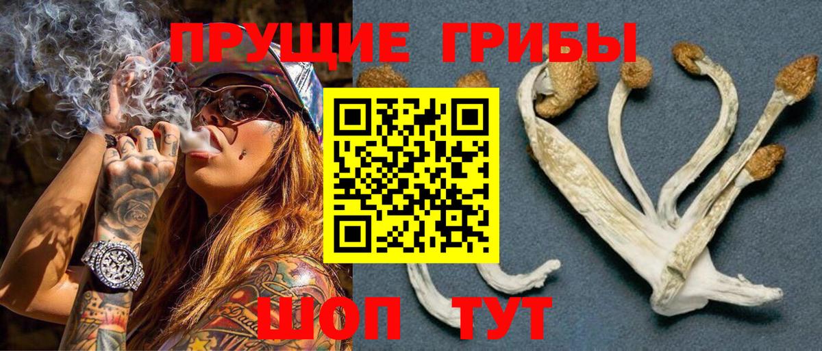 Карпинск  Галлюциногенные грибы Psilocybe  Вход с VPN 