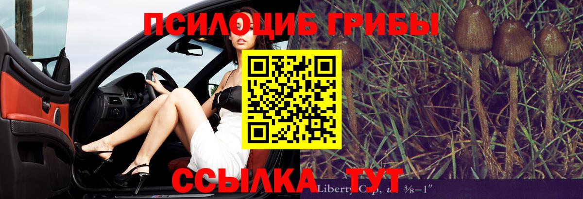 Галлюциногенные грибы Psilocybine cubensis Карпинск