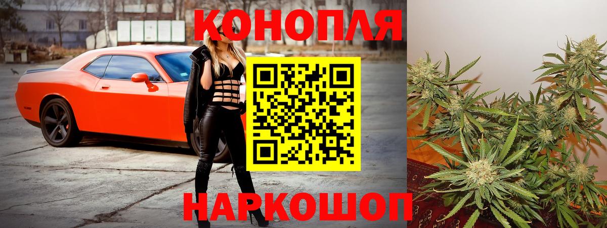 Каннабис планчик Карпинск